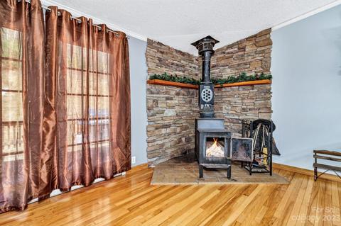 46 Bear Trl, Fairview, NC 28730 photo 14