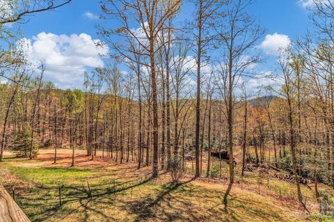 46 Bear Trl, Fairview, NC 28730 photo 4