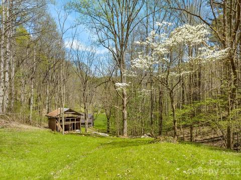 1620 S Fork Rd, Marshall, NC 28753 photo 34