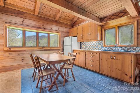 1620 S Fork Rd, Marshall, NC 28753 photo 14