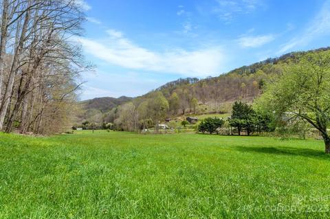 1620 S Fork Rd, Marshall, NC 28753 photo 8