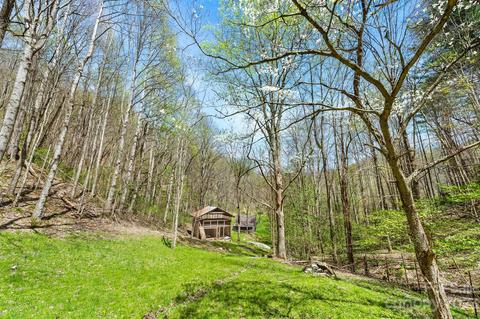 1620 S Fork Rd, Marshall, NC 28753 photo 33