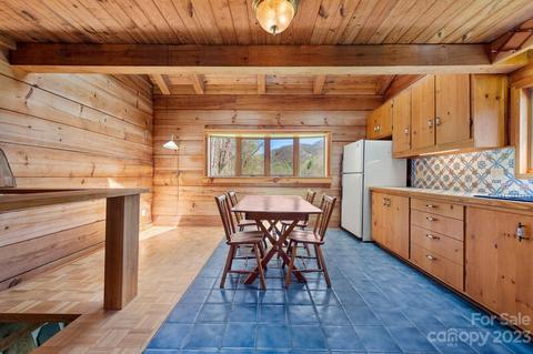 1620 S Fork Rd, Marshall, NC 28753 photo 13