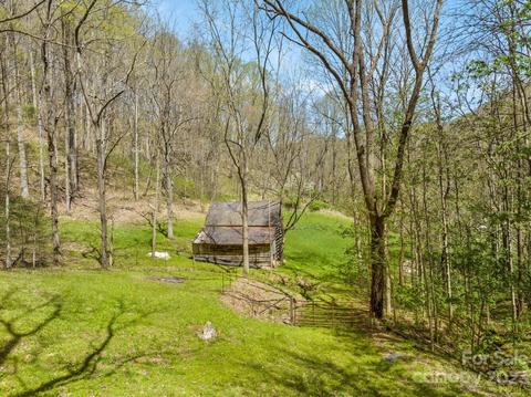 1620 S Fork Rd, Marshall, NC 28753 photo 30