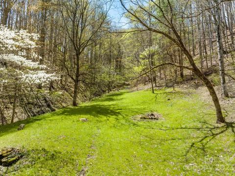 1620 S Fork Rd, Marshall, NC 28753 photo 35