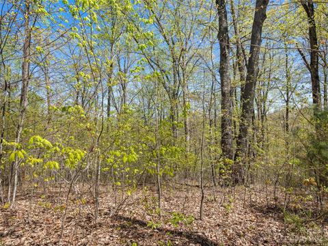 63 Chimney Crest Dr, Asheville, NC 28806