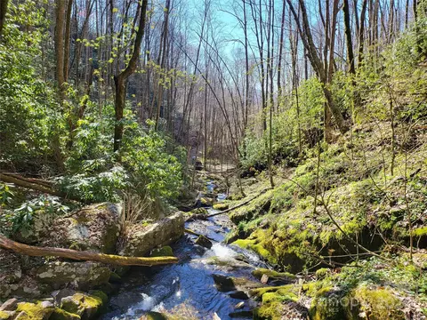 00 Buff Creek Rd, Sylva, NC 28779 photo 19