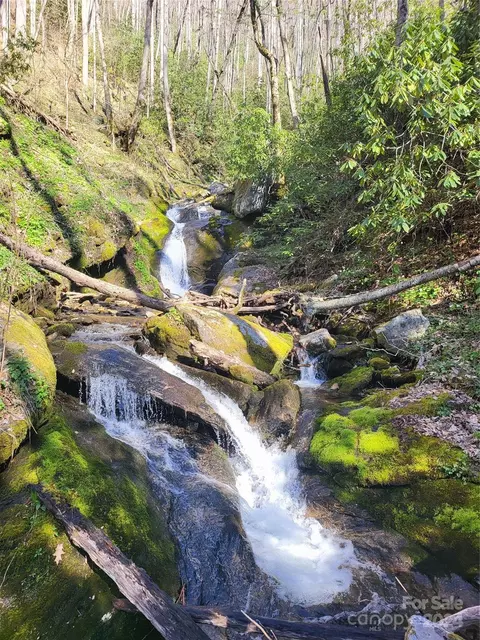 00 Buff Creek Rd, Sylva, NC 28779 photo 16