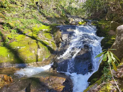 00 Buff Creek Rd, Sylva, NC 28779 photo 18