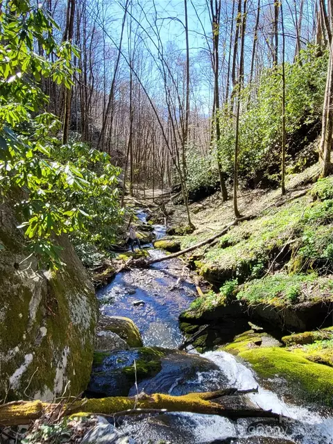 00 Buff Creek Rd, Sylva, NC 28779 photo 17