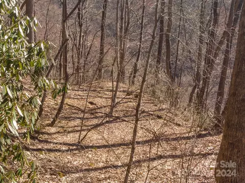 00 Buff Creek Rd, Sylva, NC 28779 photo 9