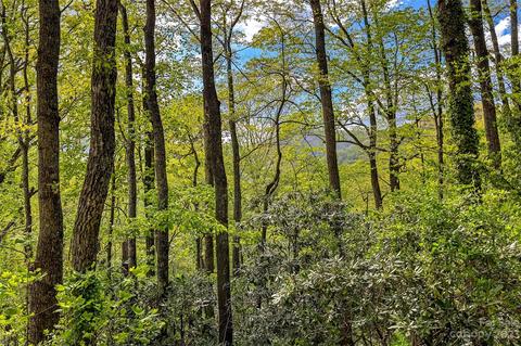 99999 Oklahoma Rd, Montreat, NC 28757