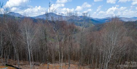 Poplar Forest Drive, Boone, NC 28607