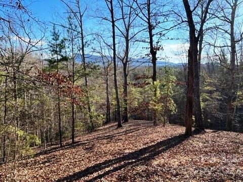 Lot 17-4 N Coast Drive, Mill Spring, NC 28756