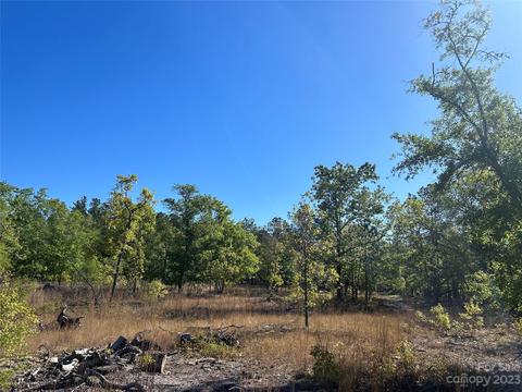 2847 Screaming Eagle Rd, Lugoff, SC 29078 photo 3