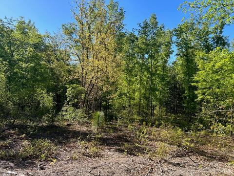 2847 Screaming Eagle Rd, Lugoff, SC 29078 photo 9