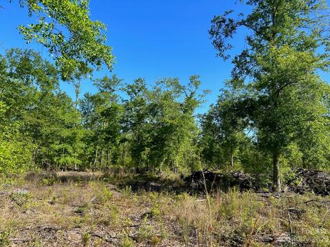 2847 Screaming Eagle Rd, Lugoff, SC 29078 photo 5