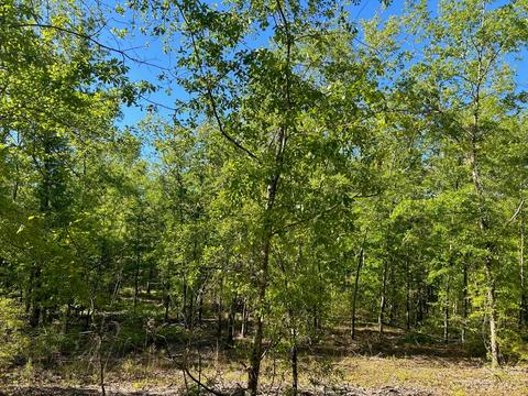 2847 Screaming Eagle Rd, Lugoff, SC 29078 photo 11