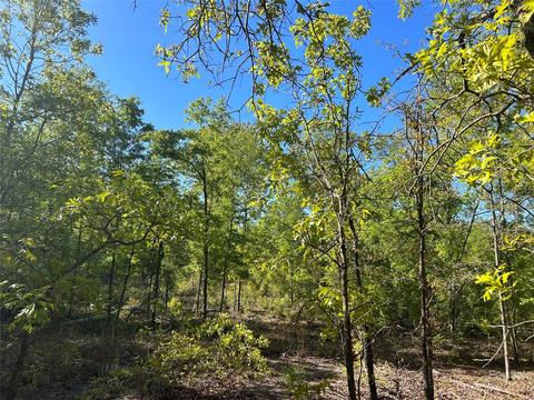 2847 Screaming Eagle Rd, Lugoff, SC 29078 photo 7
