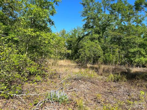 2847 Screaming Eagle Rd, Lugoff, SC 29078 photo 6