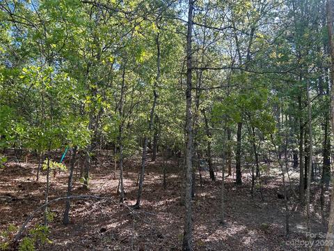 2847 Screaming Eagle Rd, Lugoff, SC 29078 photo 8