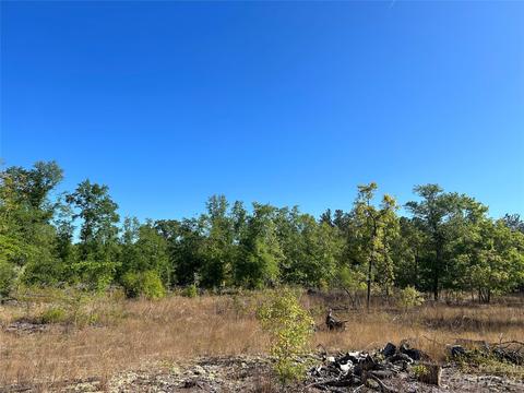 2847 Screaming Eagle Rd, Lugoff, SC 29078 photo 2