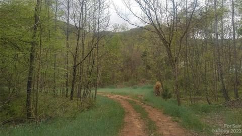 0 Cedar Creek Rd, Lake Lure, NC 28746