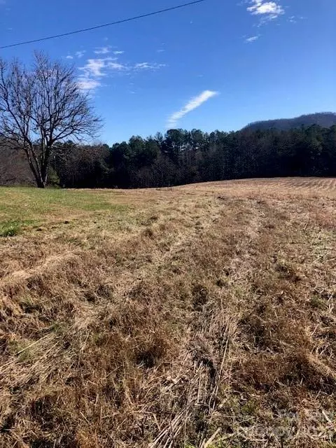 000 Mud Cut Loop, Marion, NC 28752 photo 3