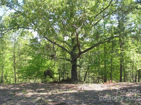 2 1 Ac Pilgrim Rd, Chester, SC 29706