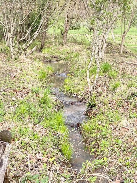 Tbd Nubbin Creek Road, Lenoir, NC 28645