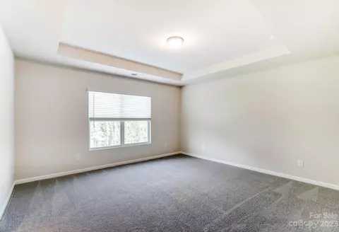16720 Summers Walk Blvd, Davidson, NC 28036 photo 37