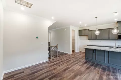 16720 Summers Walk Blvd, Davidson, NC 28036 photo 19