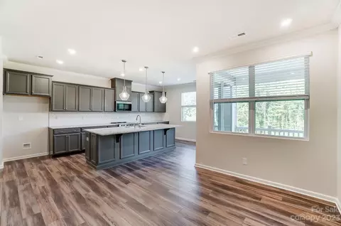16720 Summers Walk Blvd, Davidson, NC 28036 photo 20