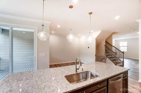 16720 Summers Walk Blvd, Davidson, NC 28036 photo 12
