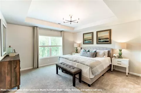 16720 Summers Walk Blvd, Davidson, NC 28036 photo 38