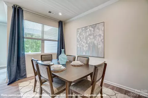 16720 Summers Walk Blvd, Davidson, NC 28036 photo 17