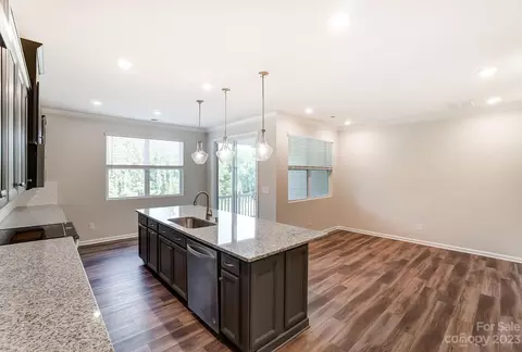 16720 Summers Walk Blvd, Davidson, NC 28036 photo 11