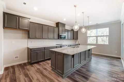 16720 Summers Walk Blvd, Davidson, NC 28036 photo 10