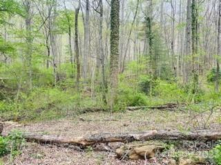 4 Gold Finch Tract Ii Ln Unit TRACT II  