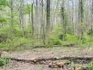 4 Gold Finch Tract Ii Ln #TRACT II, Swannanoa, NC 28778