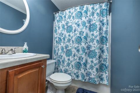 534 Gilreath Loop Rd, Mills River, NC 28759 photo 25