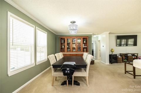 534 Gilreath Loop Rd, Mills River, NC 28759 photo 9