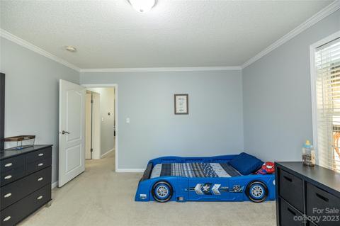 534 Gilreath Loop Rd, Mills River, NC 28759 photo 24