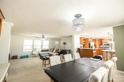 534 Gilreath Loop Rd, Mills River, NC 28759 photo 8