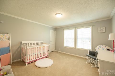 534 Gilreath Loop Rd, Mills River, NC 28759 photo 21