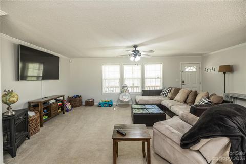 534 Gilreath Loop Rd, Mills River, NC 28759 photo 5