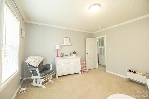 534 Gilreath Loop Rd, Mills River, NC 28759 photo 22