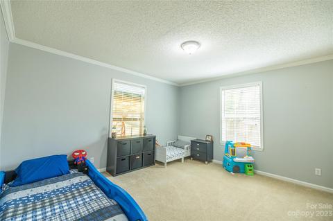 534 Gilreath Loop Rd, Mills River, NC 28759 photo 23