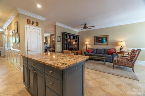 308 Caldwell Ln, Davidson, NC 28036 photo 18