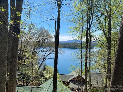 61 Black Bear Trl, Robbinsville, NC 28771